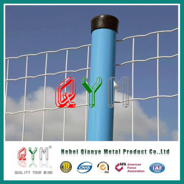 Europe Mesh Fence/ Holland Wire Mesh